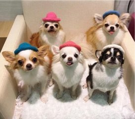 imtoken钱包有利息
