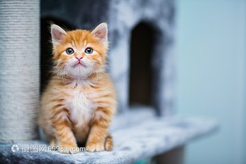imtoken创建第二个钱包