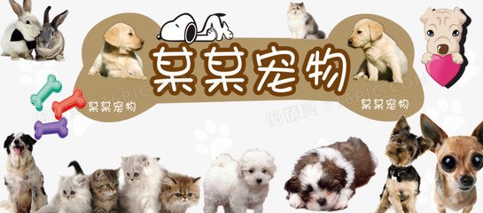 imtoken删除钱包后果