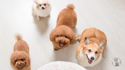 最新imtoken官网下载链接