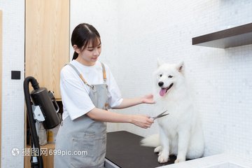 imtoken钱包图片