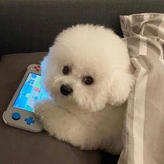 官网imtoken下载网址