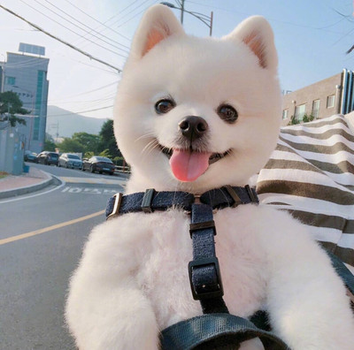 imtoken钱包转账技巧