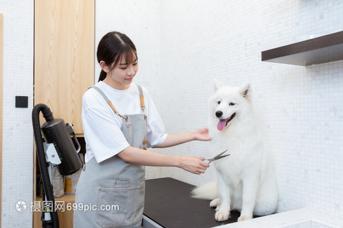 imtoken最新版本安卓
