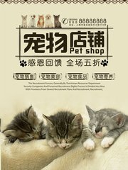 imtoken钱包btc主地址和子地址